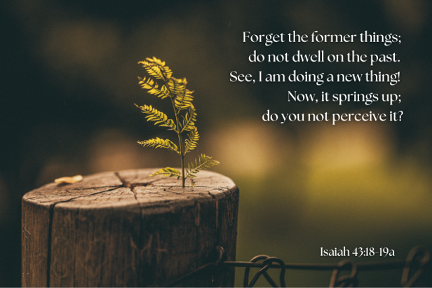 Fifth Sunday in Lent, 6 April 2025