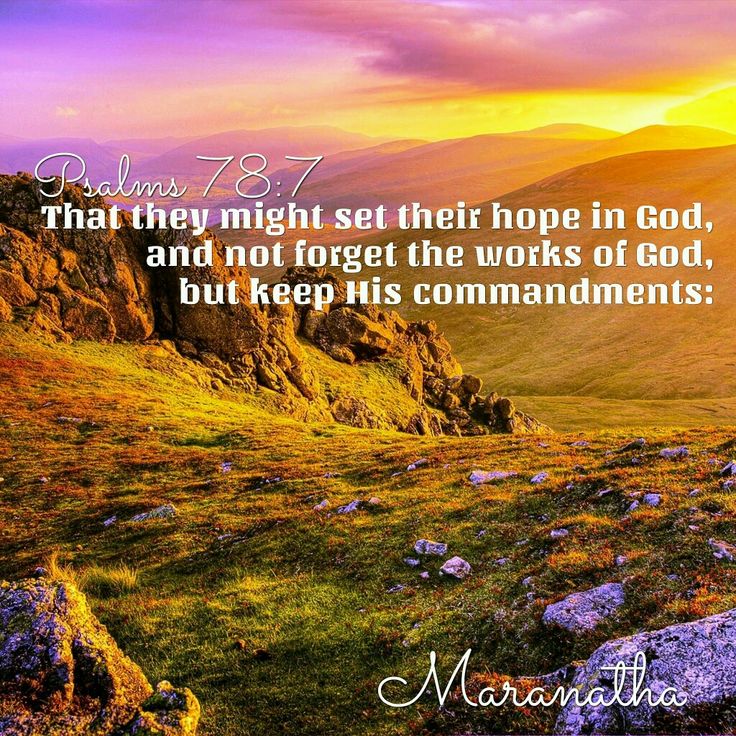 Fourth Sunday After Pentecost, 6 July 2025